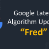 How to survive from Google Fred Algorithm