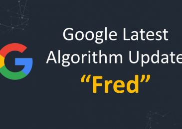 How to survive from Google Fred Algorithm