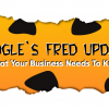 Google Fred Update -Everything you need to know