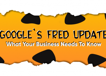 Google Fred Update -Everything you need to know