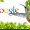 The impact of Google Hummingbird Algorithm on SEO