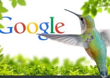 The impact of Google Hummingbird Algorithm on SEO