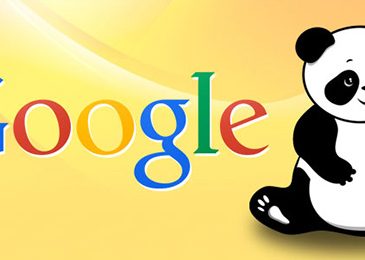 Tips to recover from a Google Panda Penalty