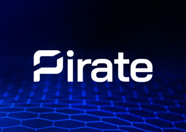 What is exactly The Google Pirate Update?