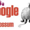 Tips to recover website from Google Possum Update