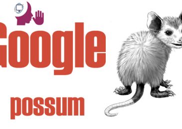 Tips to recover website from Google Possum Update