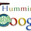 What does Google Hummingbird Algorithm mean