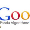 The relationship between Google Panda Algorithm and content