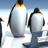 Everything to learn about Google Penguin Algorithm Update