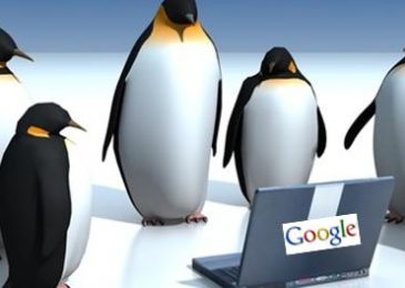 Everything to learn about Google Penguin Algorithm Update