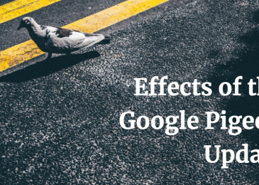 How does Pigeon Algorithm Upadate impact on SEO?