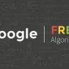 What Kind of Sites Were The Target of Fred Algorithm Update