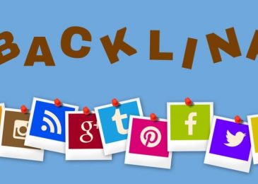 How many backlinks created a day to get to top Google ranking