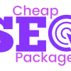 Cheap SEO Services for startups to speed up sales