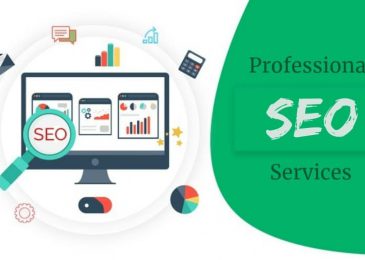 Professional SEO Services in Turkmenistan to speed up sales