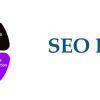Professional SEO Service Packages and Prices