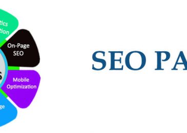 Professional SEO Service Packages and Prices