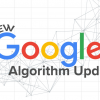 Google Algorithm Updates: From Panda to Fred Explained