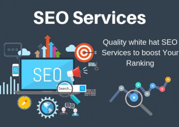 SEO Agency USA Helping Businesses Succeed Locally and Nationally